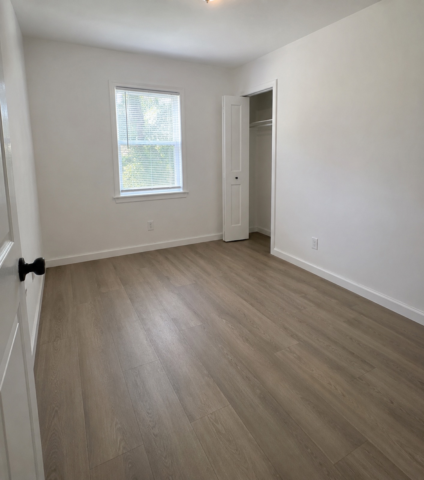 Empty private boarding room with light walls and wood-style floor